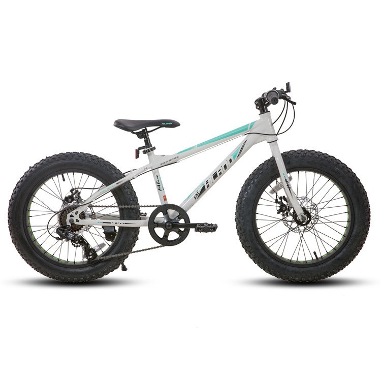 JOYKIE Hiland new fatbike disc brake steel frame 20 inch 24 inch fat tire mountain bike
