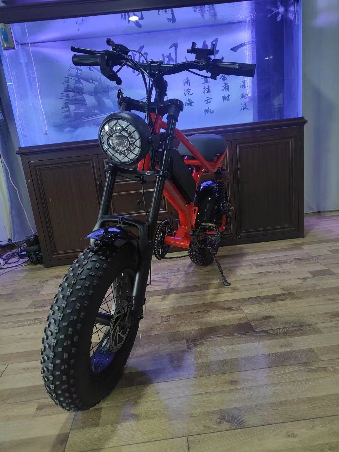 1000W electric bicycle