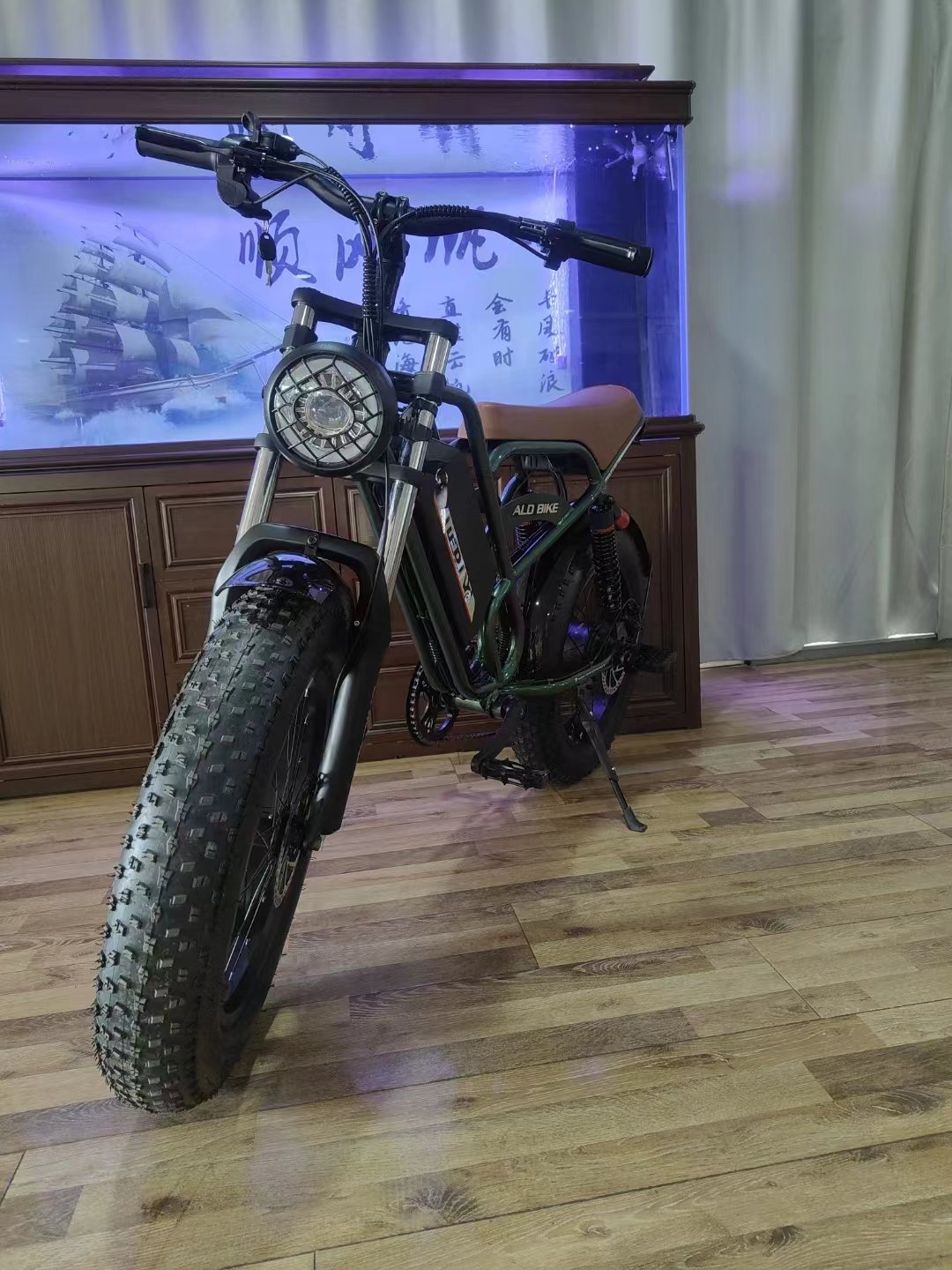 1000W electric bicycle