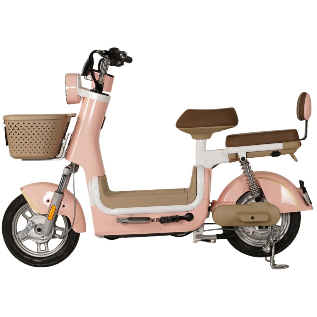 EB4 EB2 48V 750W 1000W 18.2Ah Electric Fat Bike with Central Motor Off-Road City Ebike for US EU UK CA Warehouse