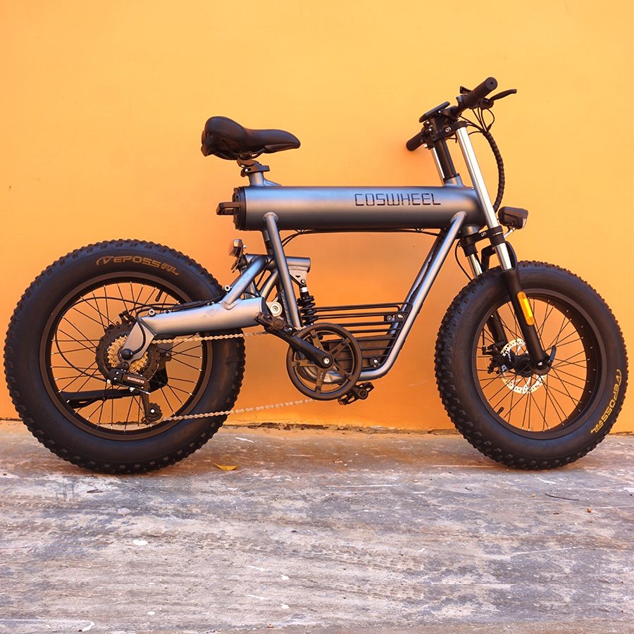 Coswheel T20 Import Electr bike 500W 48V Dirt City Electric Bike