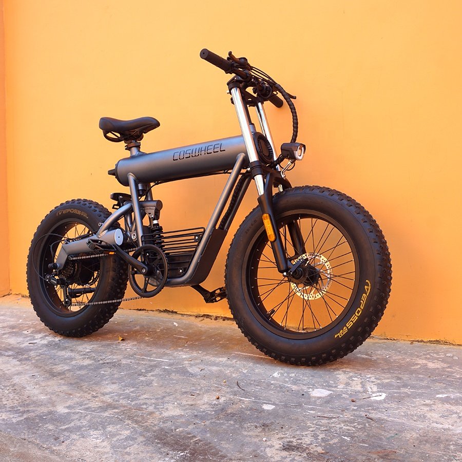 Coswheel T20 Import Electr bike 500W 48V Dirt City Electric Bike