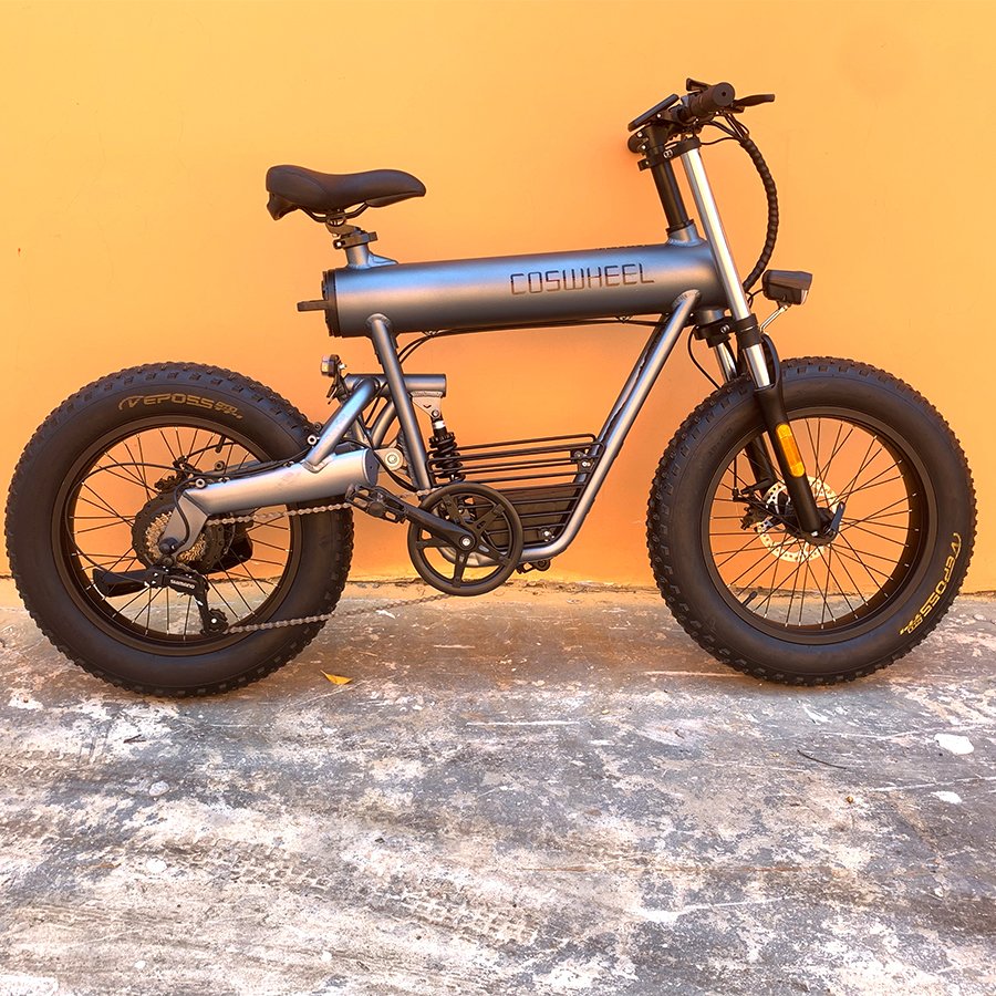 Coswheel T20 Import Electr bike 500W 48V Dirt City Electric Bike