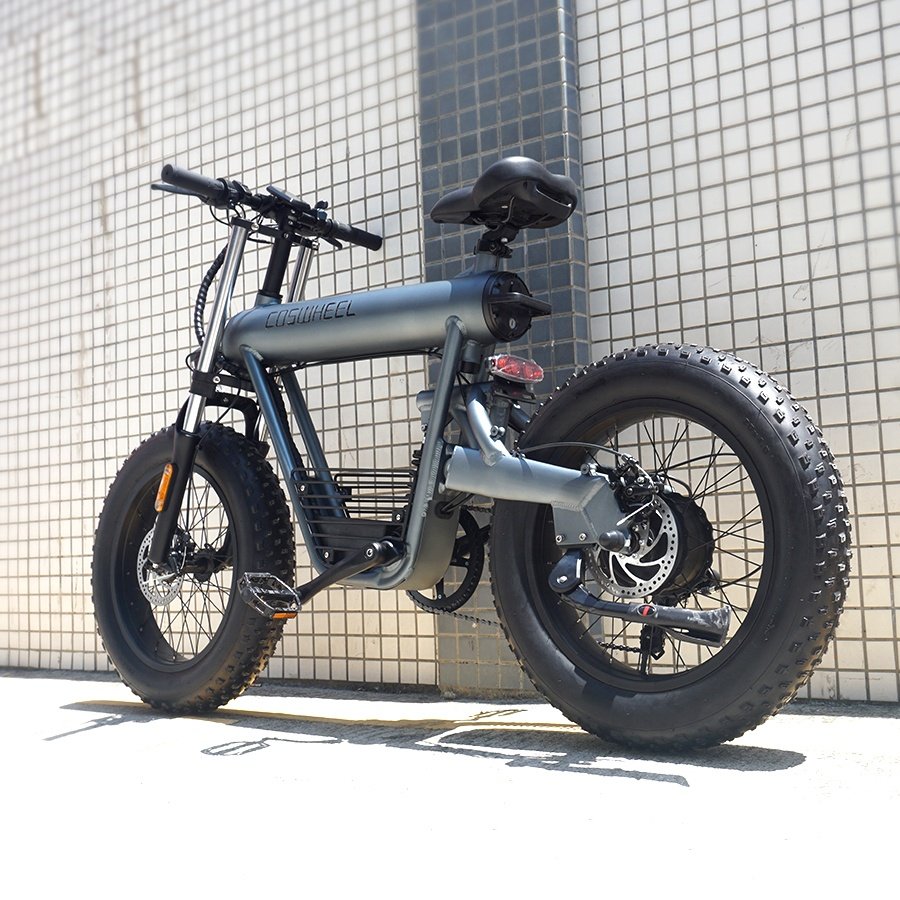 Coswheel T20 Import Electr bike 500W 48V Dirt City Electric Bike