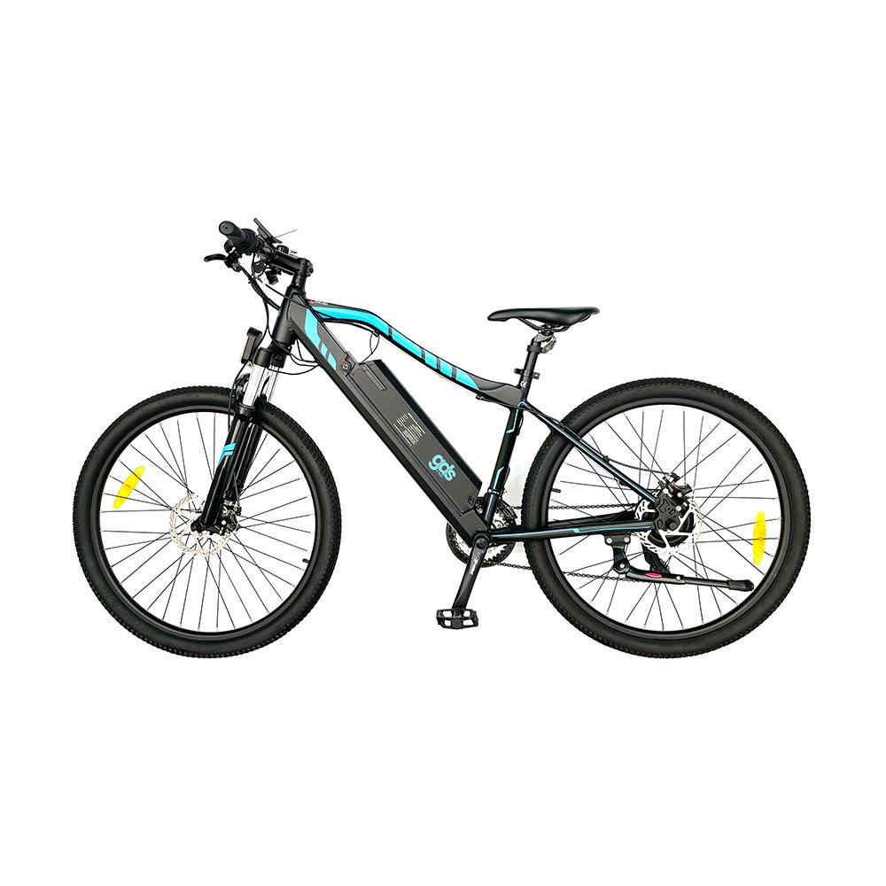 ebike bicycle 10.4 48v lithium battery 250w motor Electric delivery bike Electric mountain bike