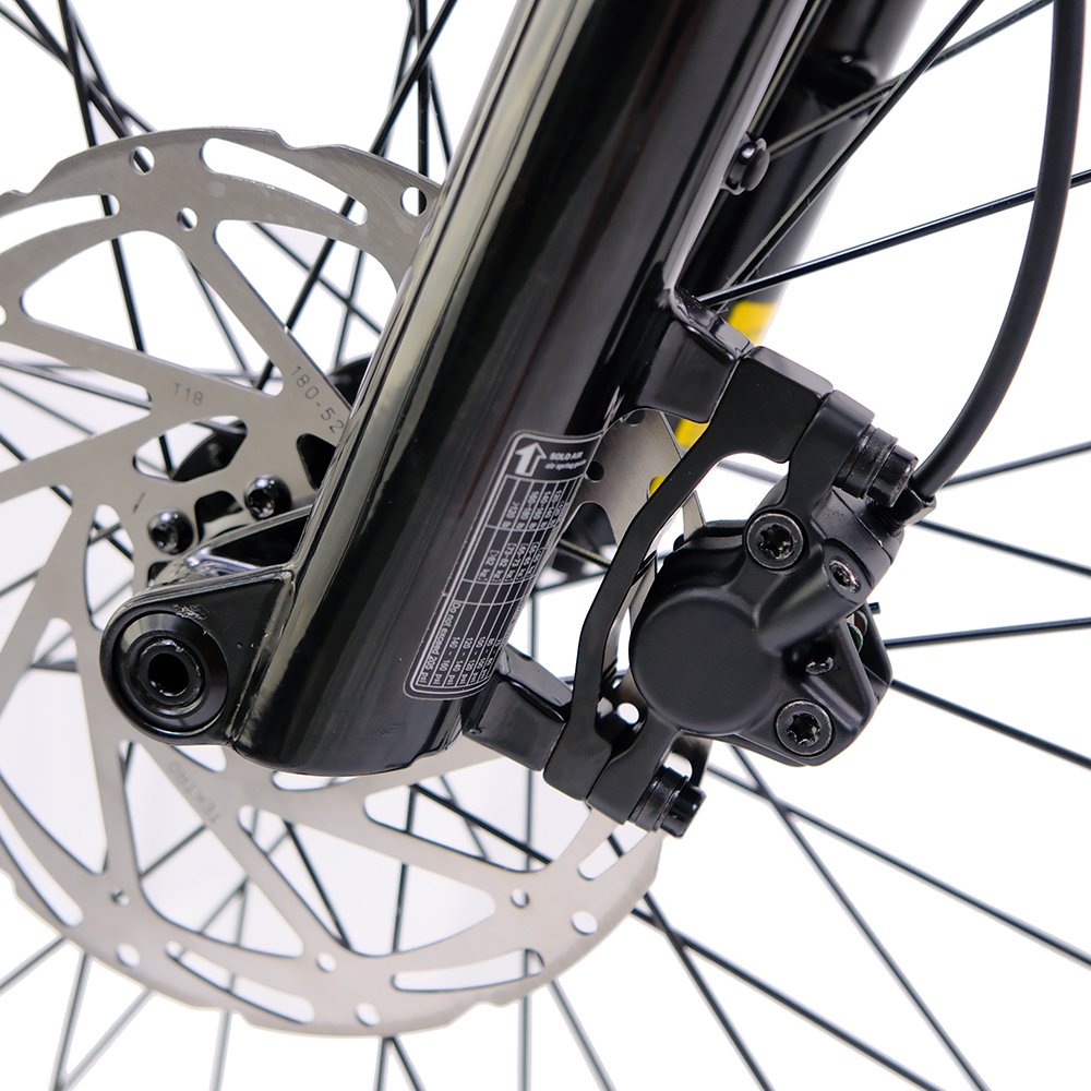 Latest design 29inch 750 watt electric bike fat tire electric mountain bike 250w 25ah 15ah for men