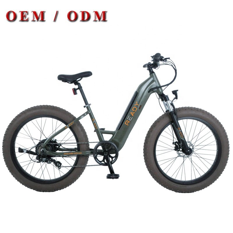 Surron EU Warehouse Fat Tire Mountain E-Bike Aluminum Alloy Hybrid Electric MTB 48V Lithium Power Supply for Dirt Bike Use