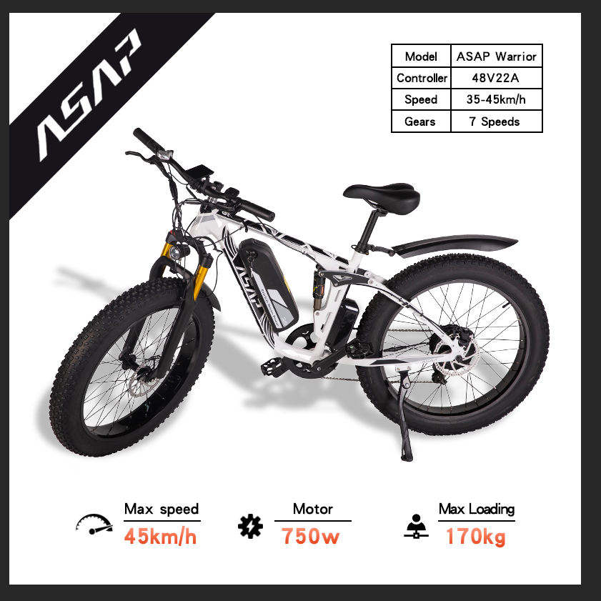 US Stock 750W Rear Motor Adult Electric Mountain Folding Bike