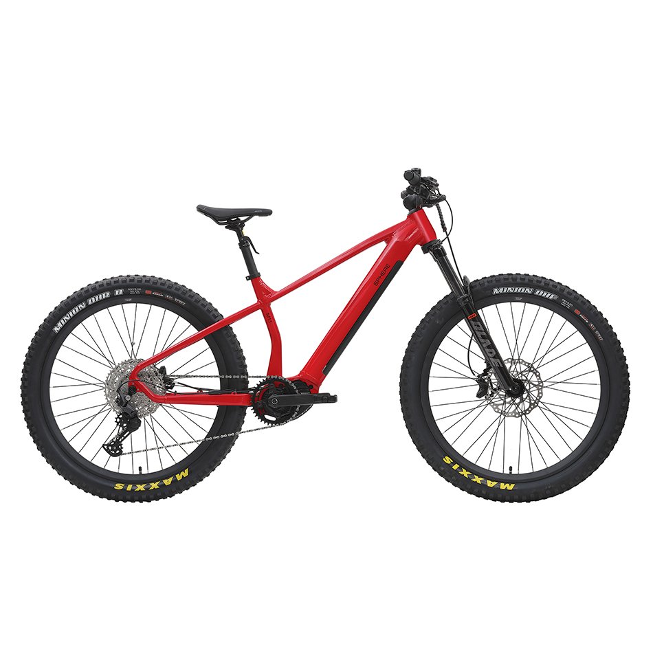 Factory price M1.1 29inch Electric Fat tyre Bicycle Big Power 48V 750W/1000W Electric Mountain Bike for adult