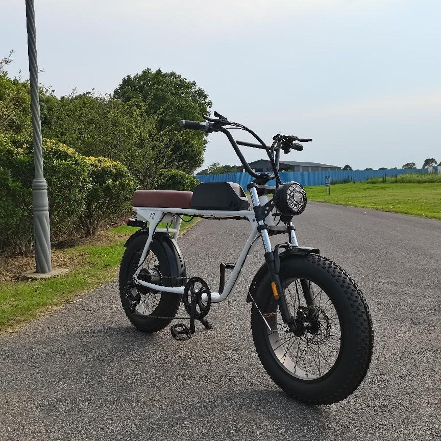 YADEA YT300 20'' Electric City Bike 250w mid-motor drive Pedelec Urban Ebike 36V 7.8Ah 7 Speed Electric Bicycle for Adults Women
