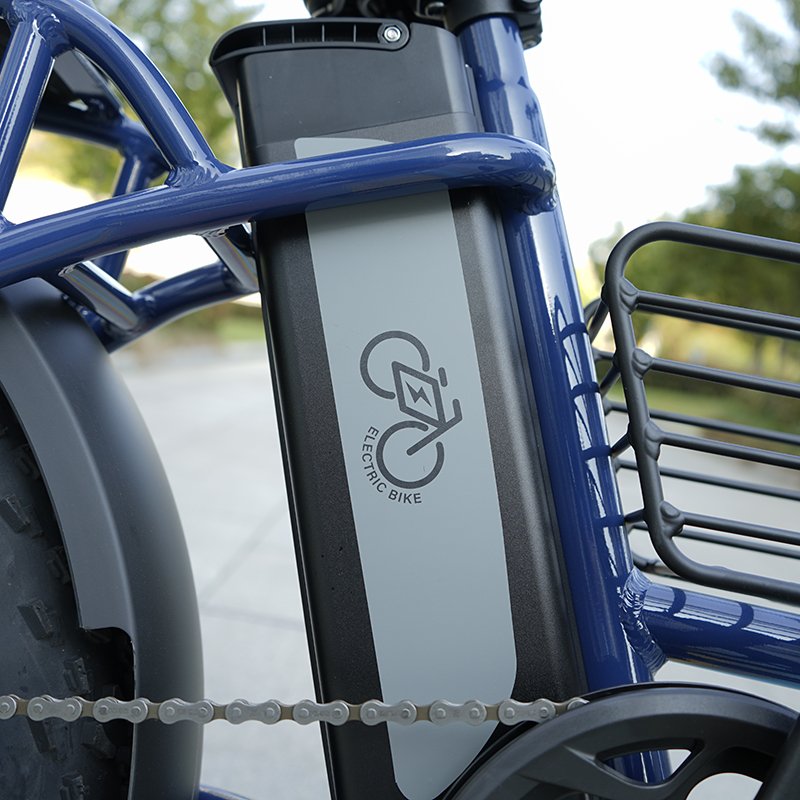 VTUVIA New design bicicletas electrica 36V 48V 250W 500W 750w 20inch fat tire step through electric city cargo snow bike