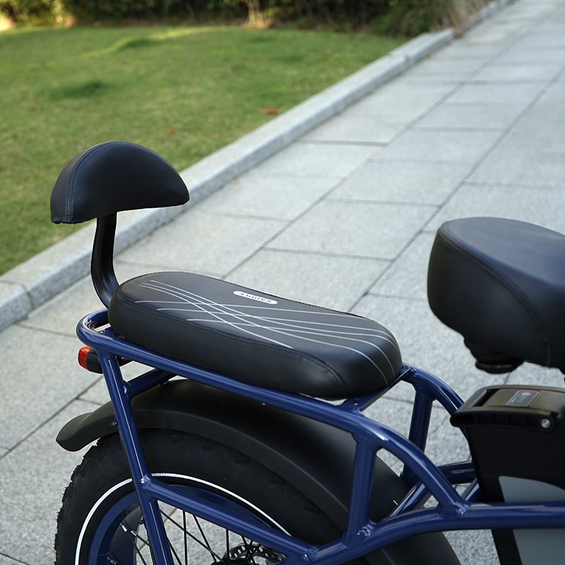 VTUVIA New design bicicletas electrica 36V 48V 250W 500W 750w 20inch fat tire step through electric city cargo snow bike