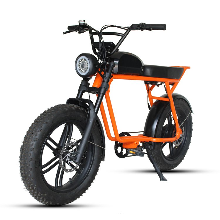 Electric bicycle fat tire mountain bike ebike with 48V 1000W motor 16Ah lithium battery disc brake high quality suspension