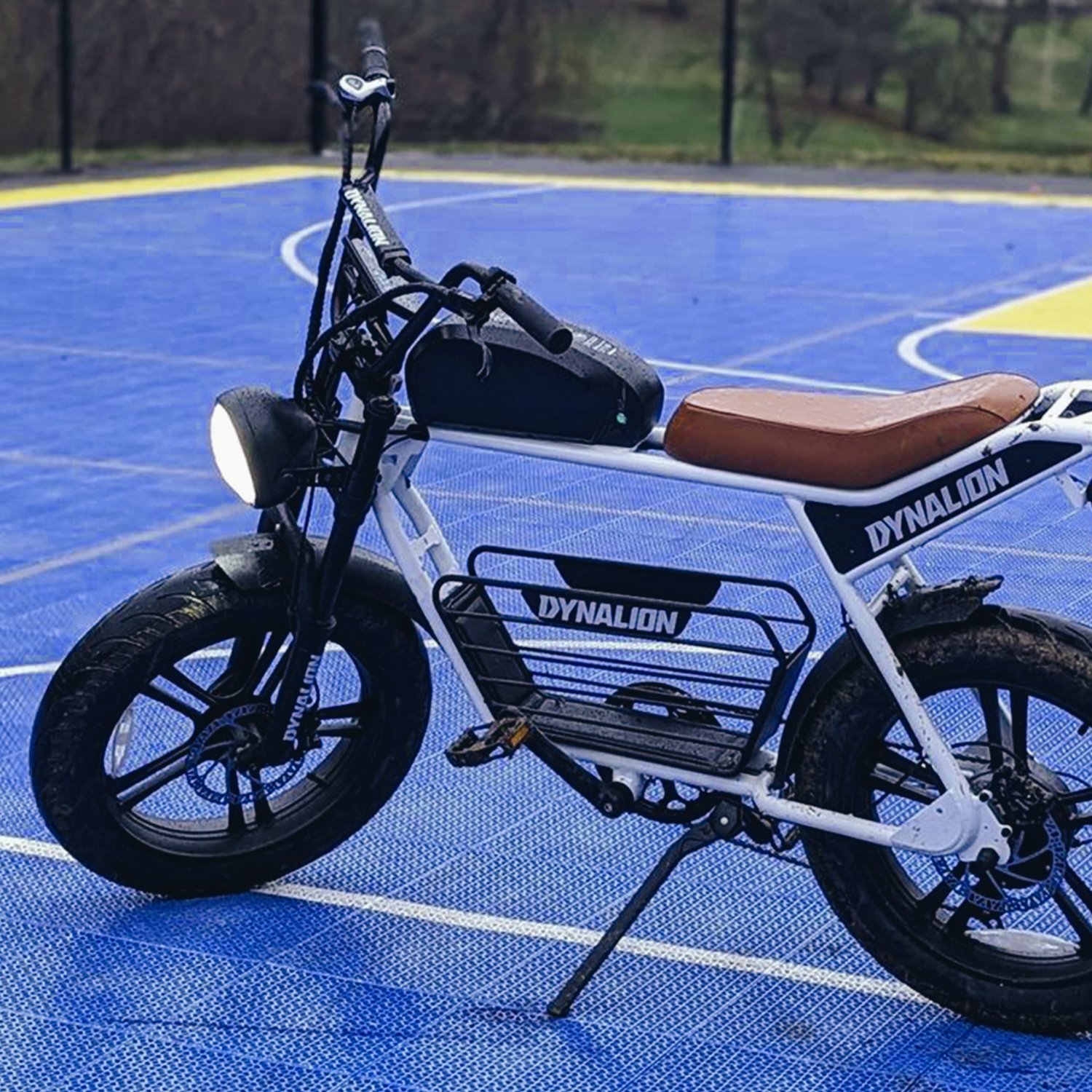 Hot Sale Electric Bike K7-2 Dynalion 48V 1000W 16Ah Li-Battery Electric Mountain Bike Adult Cool Electric Bicycle