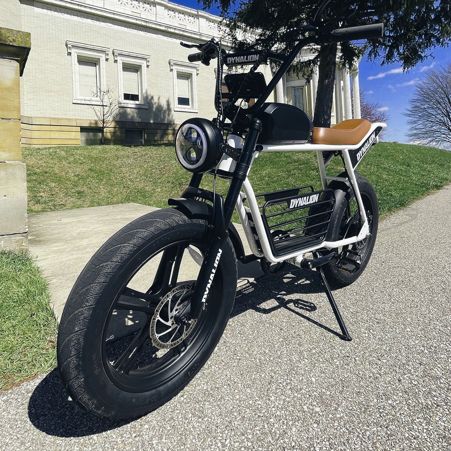 Hot Sale Electric Bike K7-2 Dynalion 48V 1000W 16Ah Li-Battery Electric Mountain Bike Adult Cool Electric Bicycle