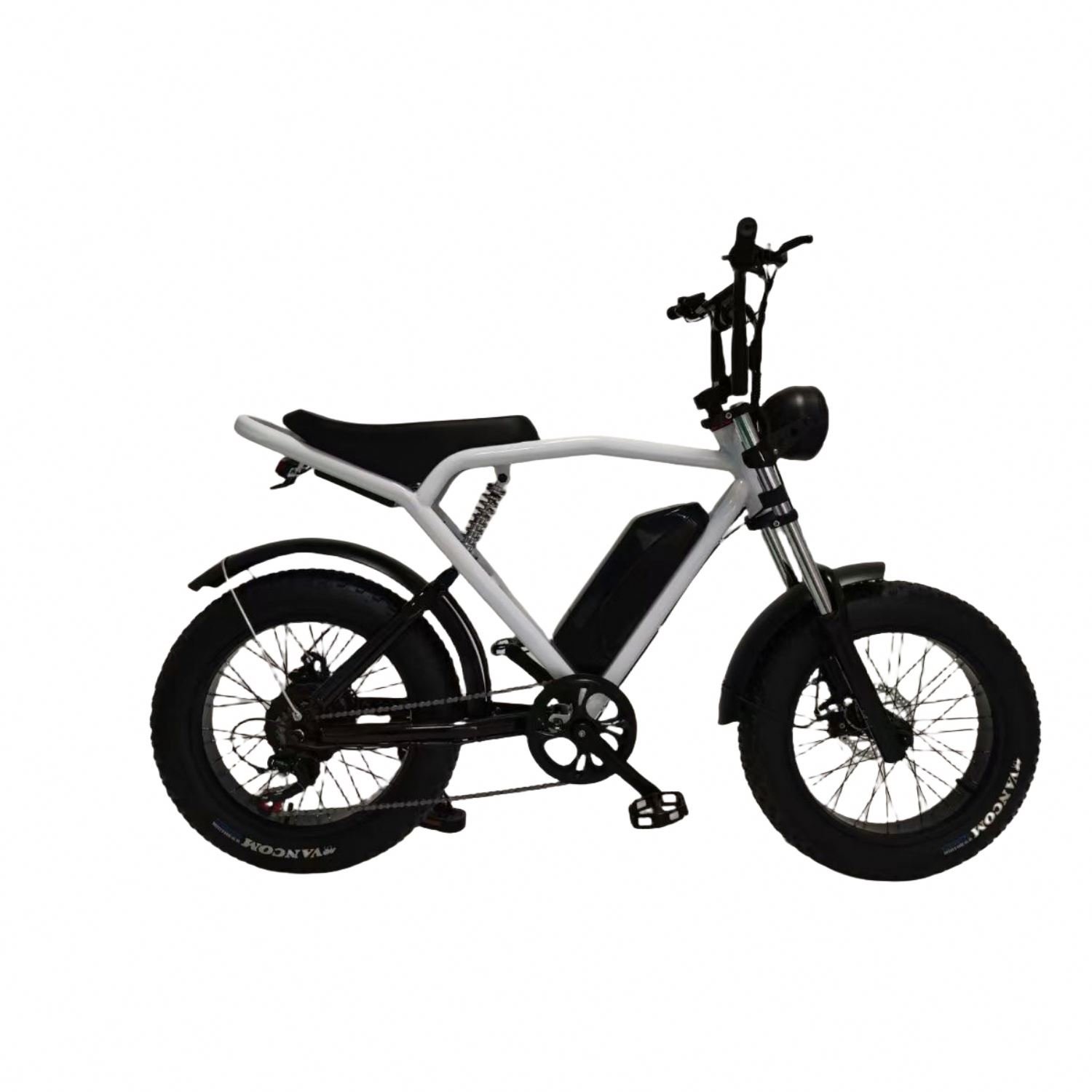 1000w 20 Inch Dual Gear Mountain Eu Snow Electric Moped Fat Bike Snow E Bicycle