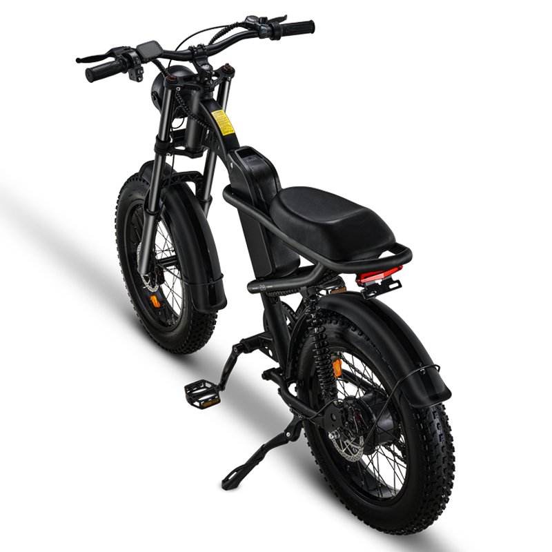 Riding'times Z8 60km long range fast speed ebike electric bicycle big tire fat MTB