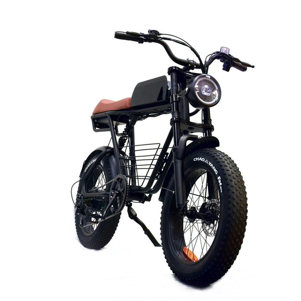 Fast Delivery USA Warehouse 20 Inch Fat Tire Electric Bicycle 1000W Motor Electric Mountain Bike 73 48V 15Ah Mountain Ebike