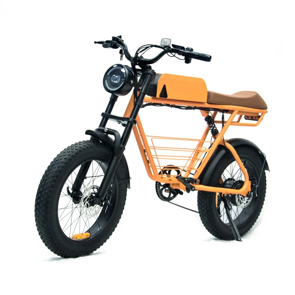 Fast Delivery USA Warehouse 20 Inch Fat Tire Electric Bicycle 1000W Motor Electric Mountain Bike 73 48V 15Ah Mountain Ebike