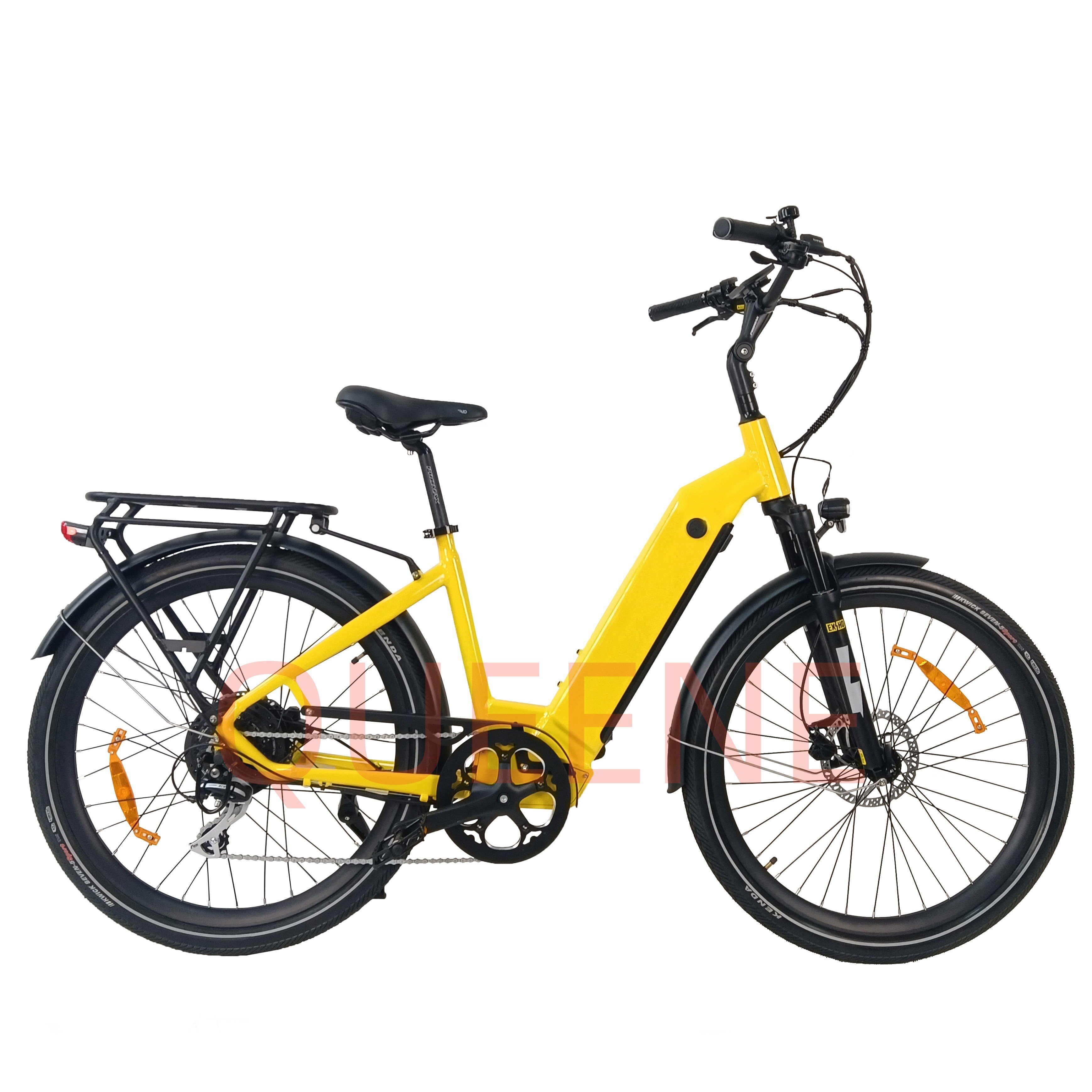 Queene Vintage 48V750W OEM Step Thru Ebike Electric Road Bicycle City Electric Bike