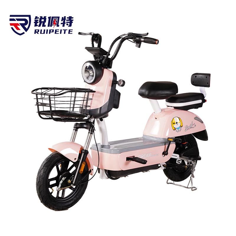 Electric Bicycle Battery 48v Integrated Battery E Scooter Electric City Bike