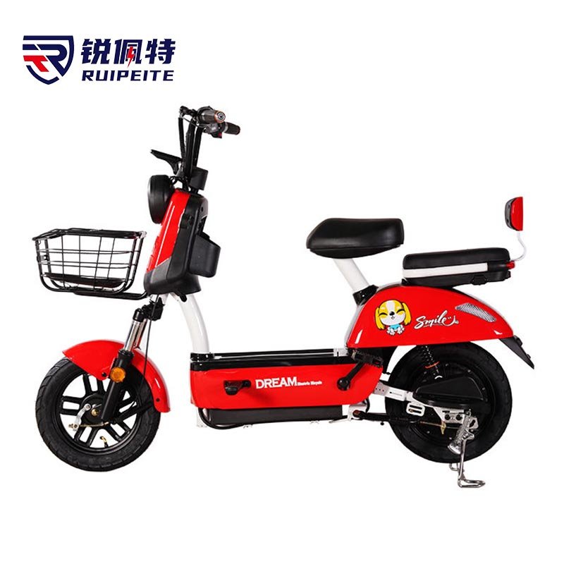 Electric Bicycle Battery 48v Integrated Battery E Scooter Electric City Bike