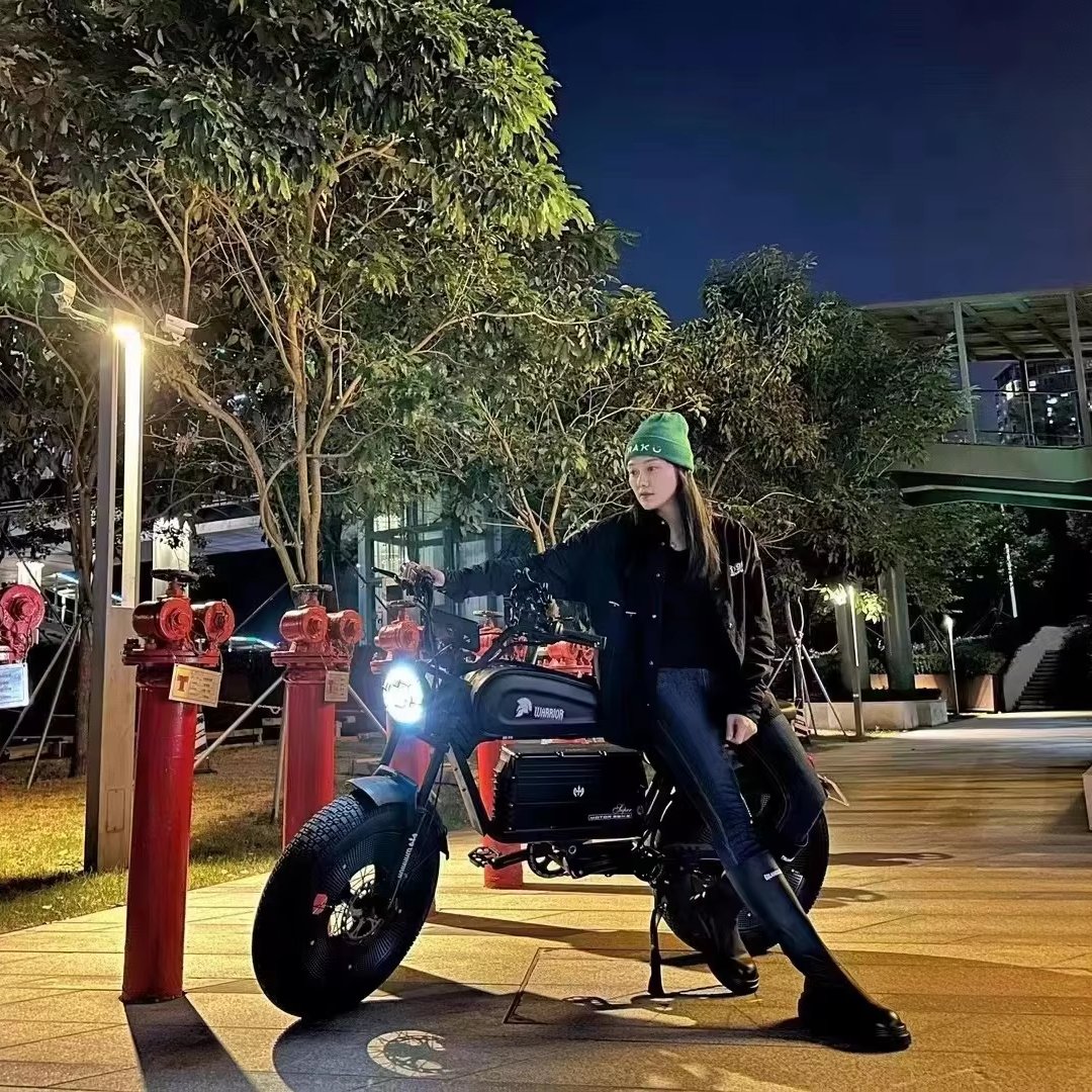 Long Range 1500W 48V 30AH 60ah Removable Battery Electric Fat Bike 20*5 Inch EU Warehouse Mountain Electric Bike