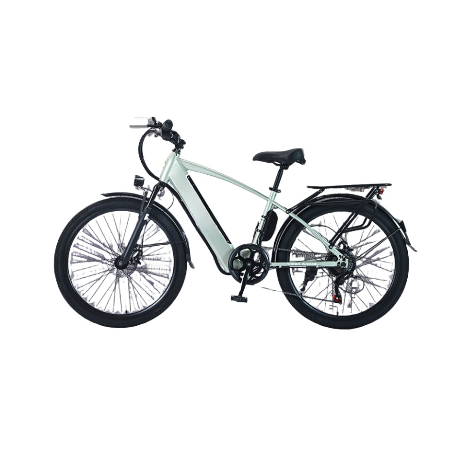 High carbon 21 speed electric mountain bike 27.5 inch 29 inch 36v 250w 500w fat tyre bicycle