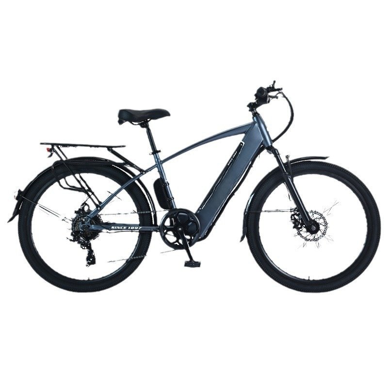 High carbon 21 speed electric mountain bike 27.5 inch 29 inch 36v 250w 500w fat tyre bicycle