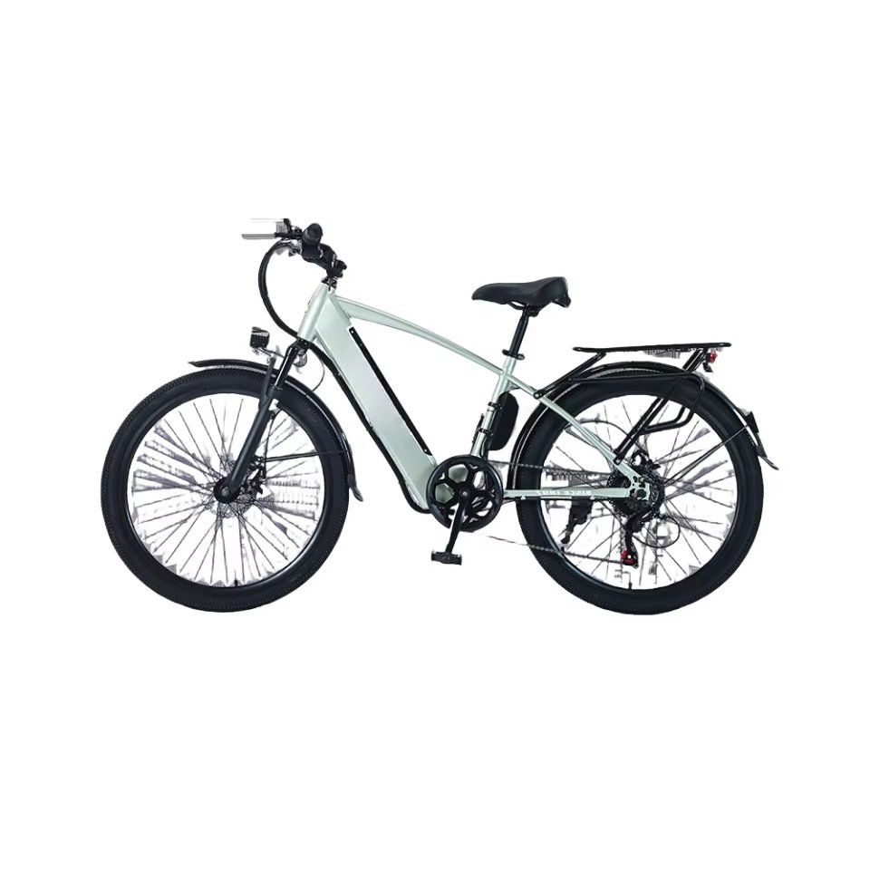 High carbon 21 speed electric mountain bike 27.5 inch 29 inch 36v 250w 500w fat tyre bicycle