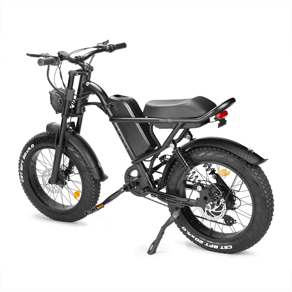 Factory Supply Customizable OEM Electric Bicycle 20INCH FAT TIRE Electric Mountain BIKE FULL SUSPENSION Bicycle BIKE 750W Steel