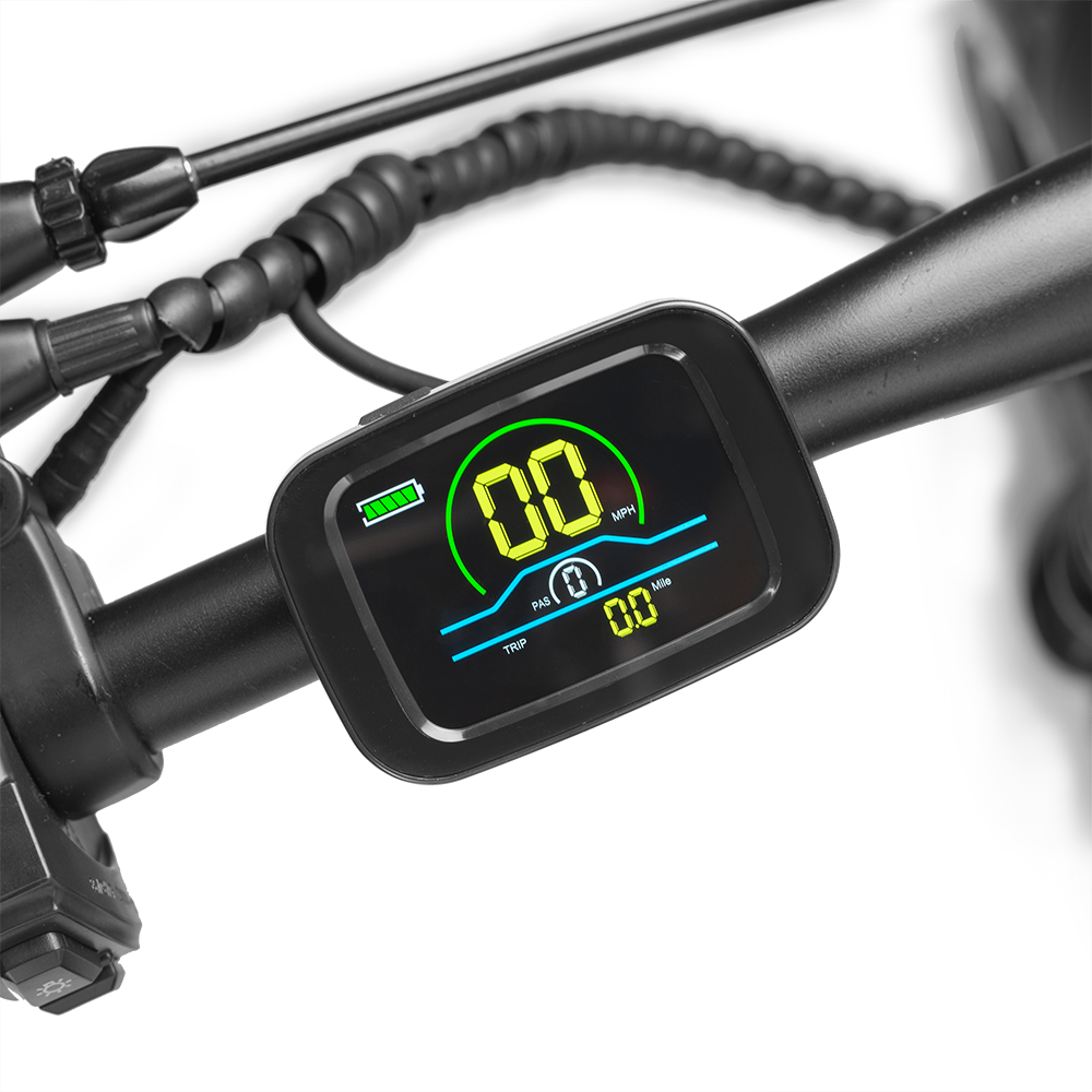 Factory Supply Customizable OEM Electric Bicycle 20INCH FAT TIRE Electric Mountain BIKE FULL SUSPENSION Bicycle BIKE 750W Steel