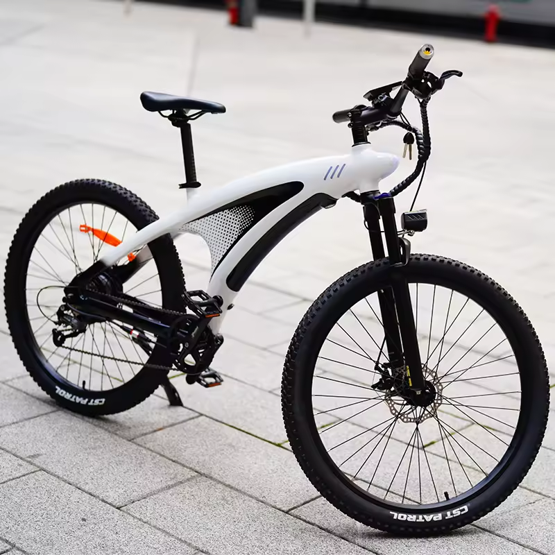 usa eu warehouse fast sports electric walking dirt bike electric mountain bike e women electric bikes ebike bicycles for ladies