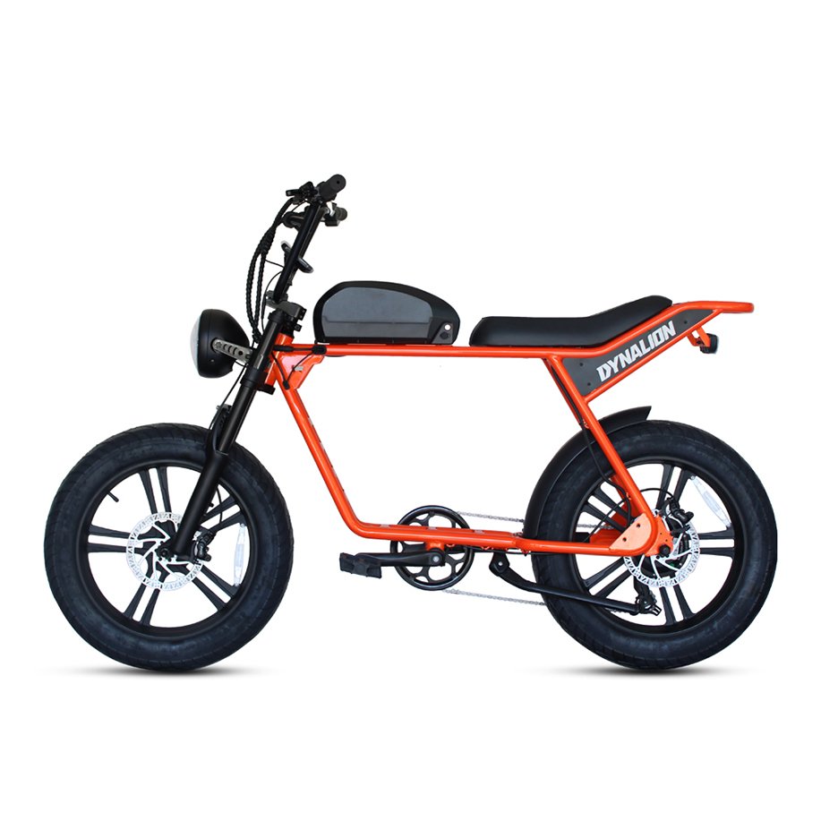 20x4.0 1000w Electric Bike  Enduro Ebike Full Suspension Electric Mountain Bike Fat Tyre Ebike