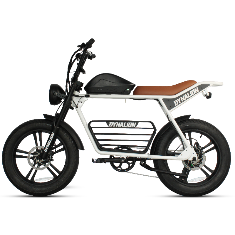 20x4.0 1000w Electric Bike  Enduro Ebike Full Suspension Electric Mountain Bike Fat Tyre Ebike