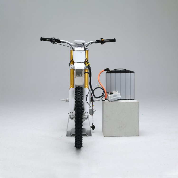 Gowow ORI Electric mountain bike with 100km/h speed 3.5h charging time 73.8V battery Electric bike