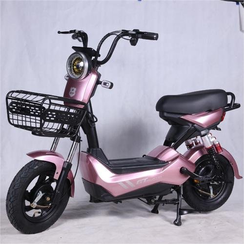 Electric Bicycle for Adult Wholesale Price 350w Electric City Bike 14 Inch New Energy Vehicles Cycle E Bike Scooter