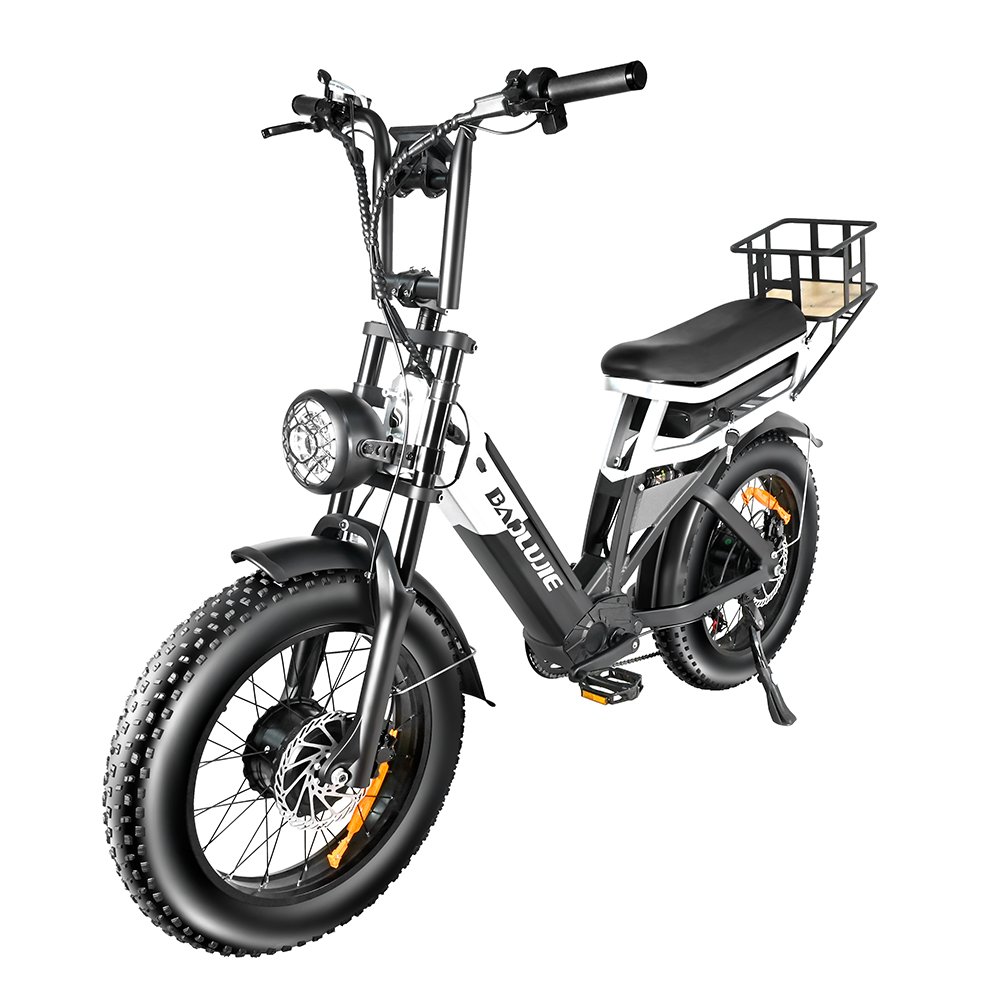 2000W 48v30ah Dual Drive/dual Motor Electric Bike Tube Battery US Warehouse City Fat Tire Dirt Bike Adults Electronic 48V 30AH