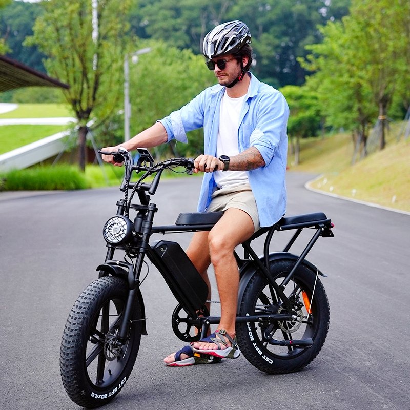 EU warehouse Original OUXI Direct Factory 1000 Watt Ebike Mountain Bike Beach Cruiser Fat Bike OUXI V8