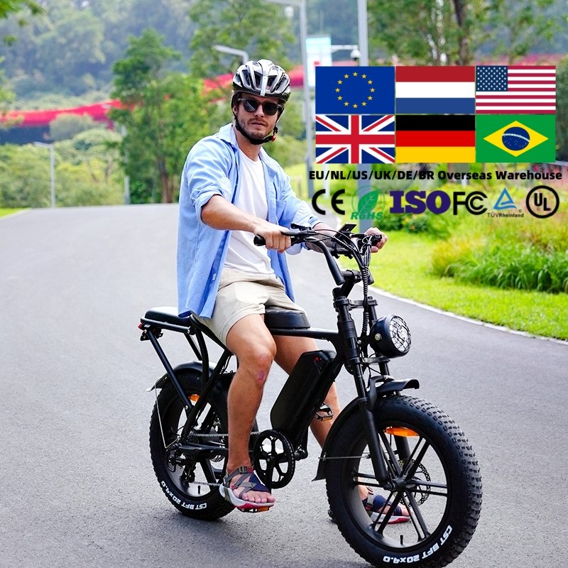 EU warehouse Original OUXI Direct Factory 1000 Watt Ebike Mountain Bike Beach Cruiser Fat Bike OUXI V8