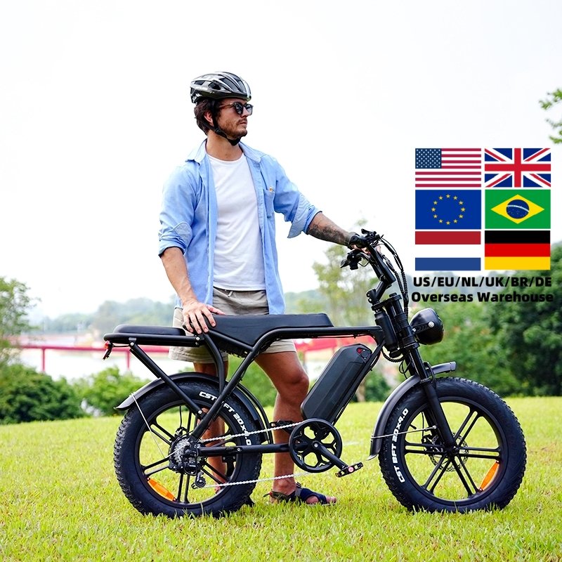 EU warehouse Original OUXI Direct Factory 1000 Watt Ebike Mountain Bike Beach Cruiser Fat Bike OUXI V8