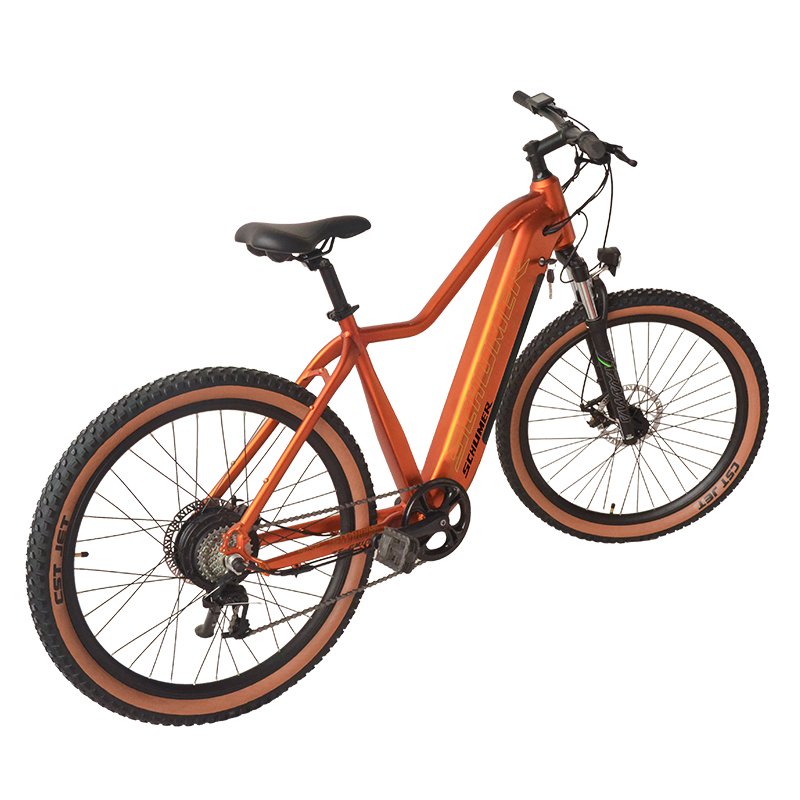 XC Suspension Mountain Bike 29er with OEM Shimano M5100 and Rock Shox Carbon MTB Disc Brake System Speed Model