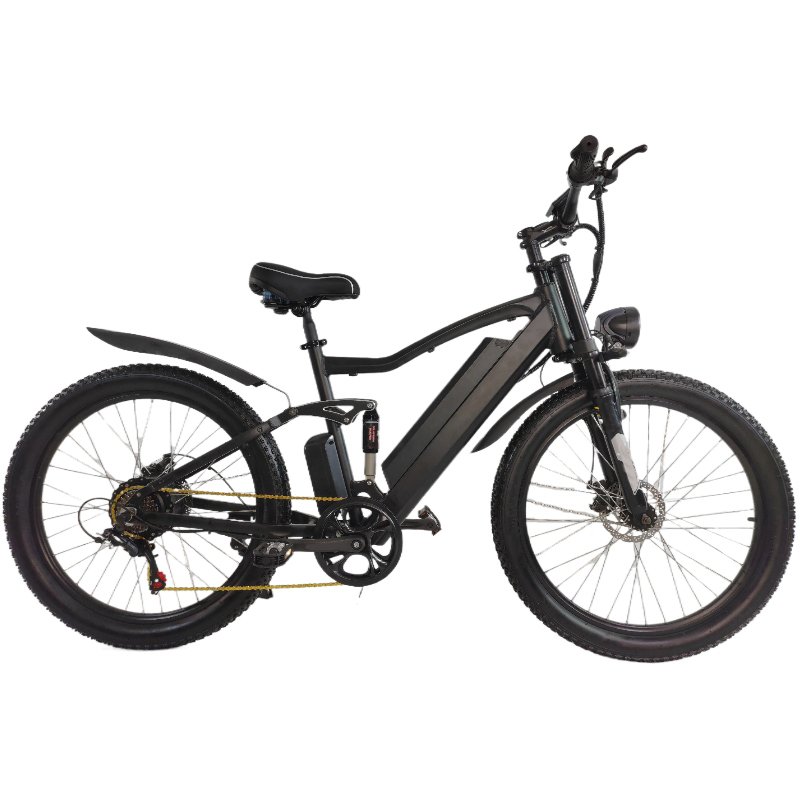 electric mountain bike manufacturers in china 36V 250W steel aluminum frame ebike with light for adult