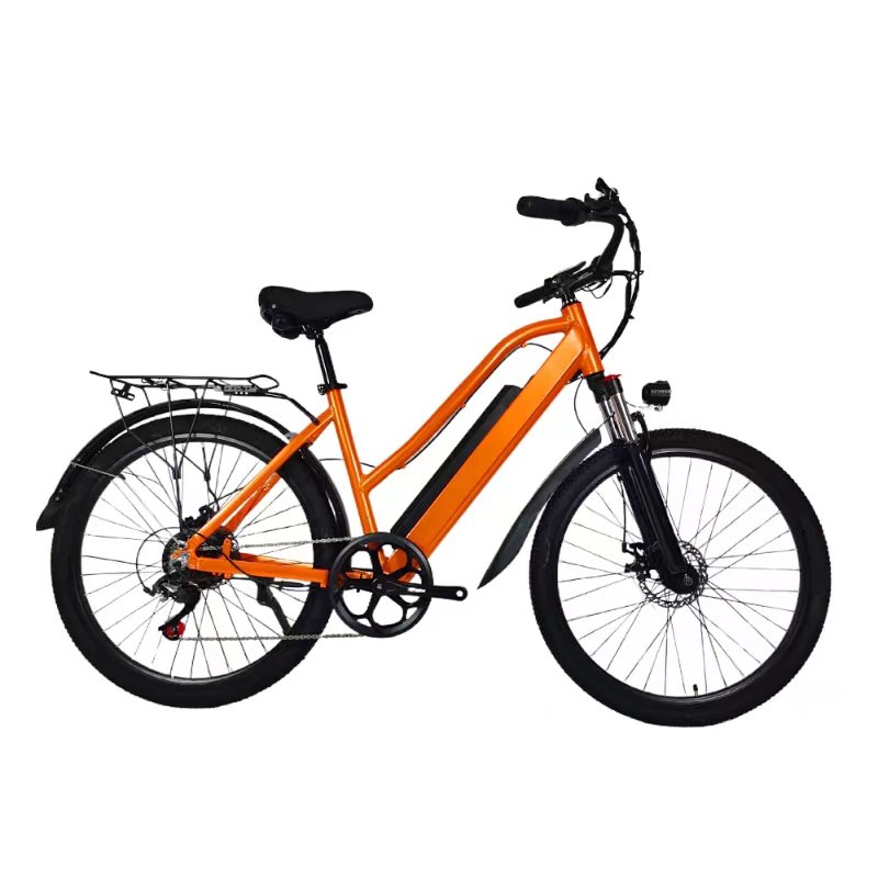 electric mountain bike manufacturers in china 36V 250W steel aluminum frame ebike with light for adult