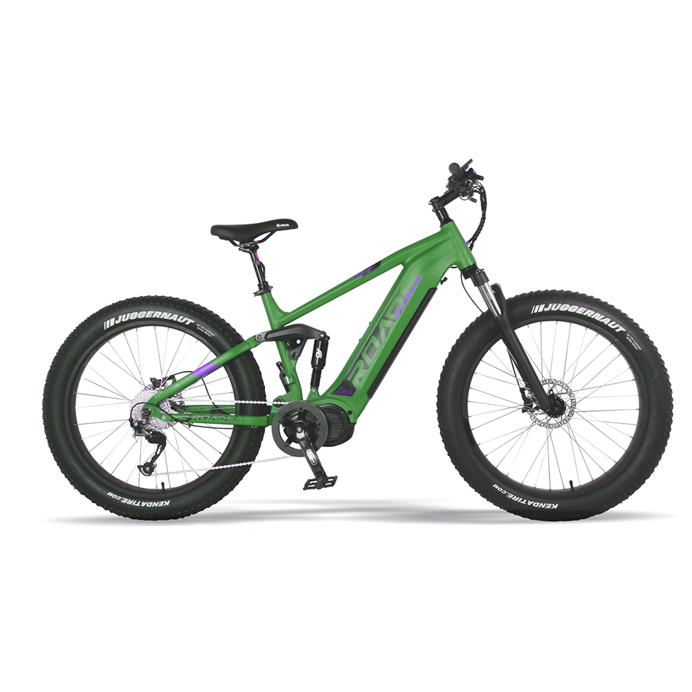 ROADSAN 48V 1000W electric bike /latest 20 inch fat tire e-bike eu warehouse/factory small e bike mid-drive motor E-MTB