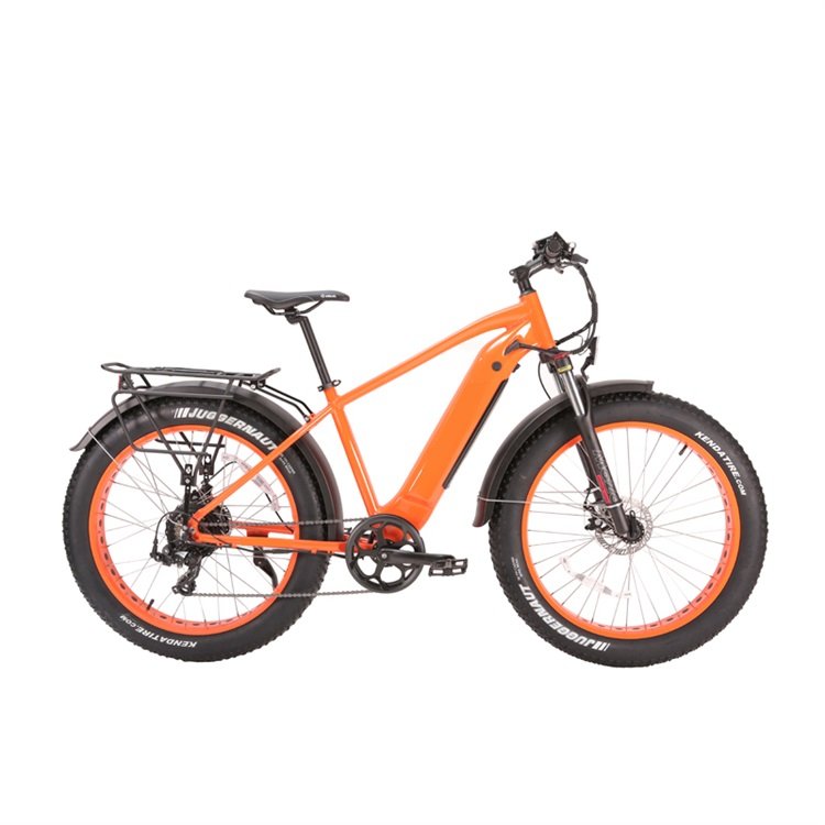Factory Supply 250w city fast electric bike bicycle for lady men 26 inch electric mountain bike