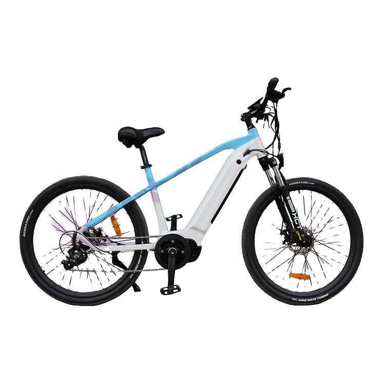 Factory Supply 250w city fast electric bike bicycle for lady men 26 inch electric mountain bike