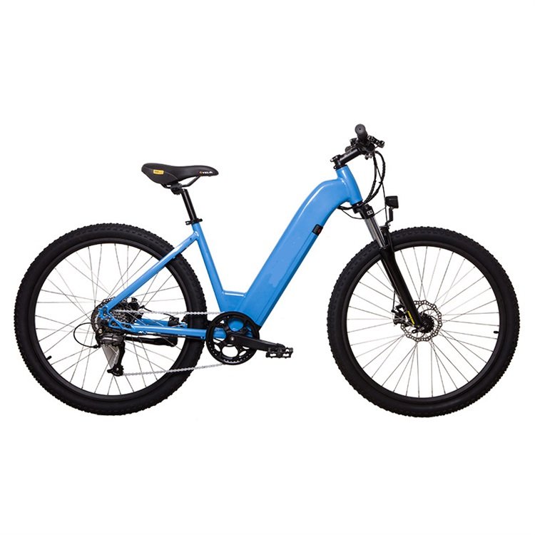Factory Supply 250w city fast electric bike bicycle for lady men 26 inch electric mountain bike