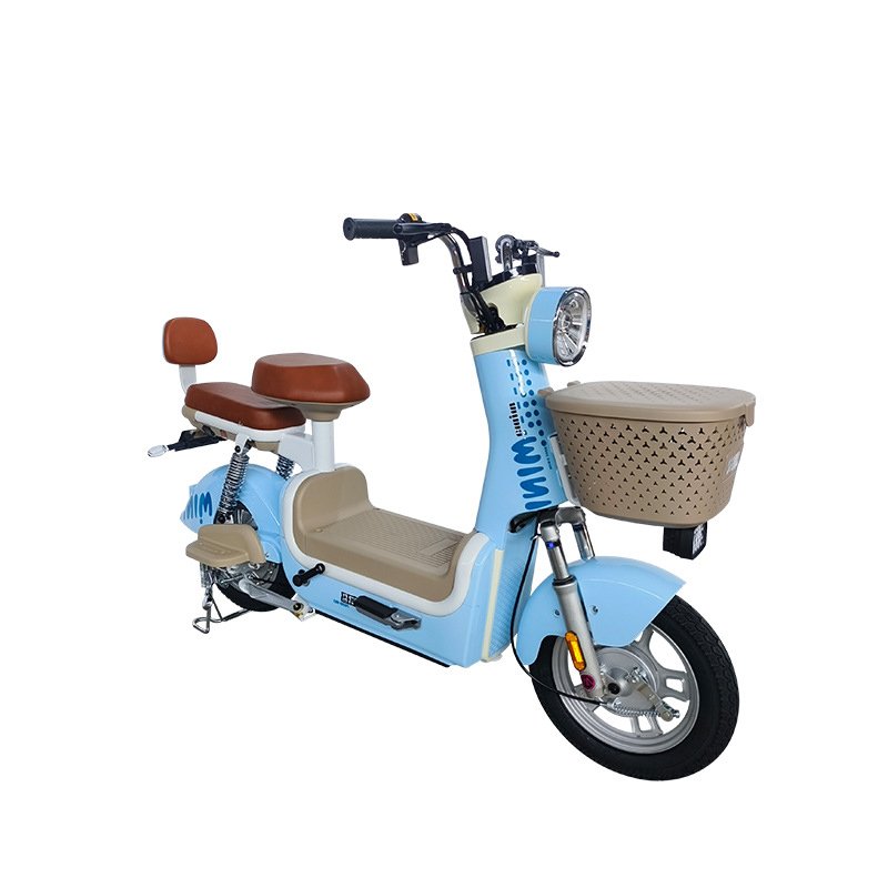 Bicycles Battery Bike 1500W Gasoline Wires 3Wheeler Sports Swap Tyre Replacement City Commuting Man Electr Electric Bicycle