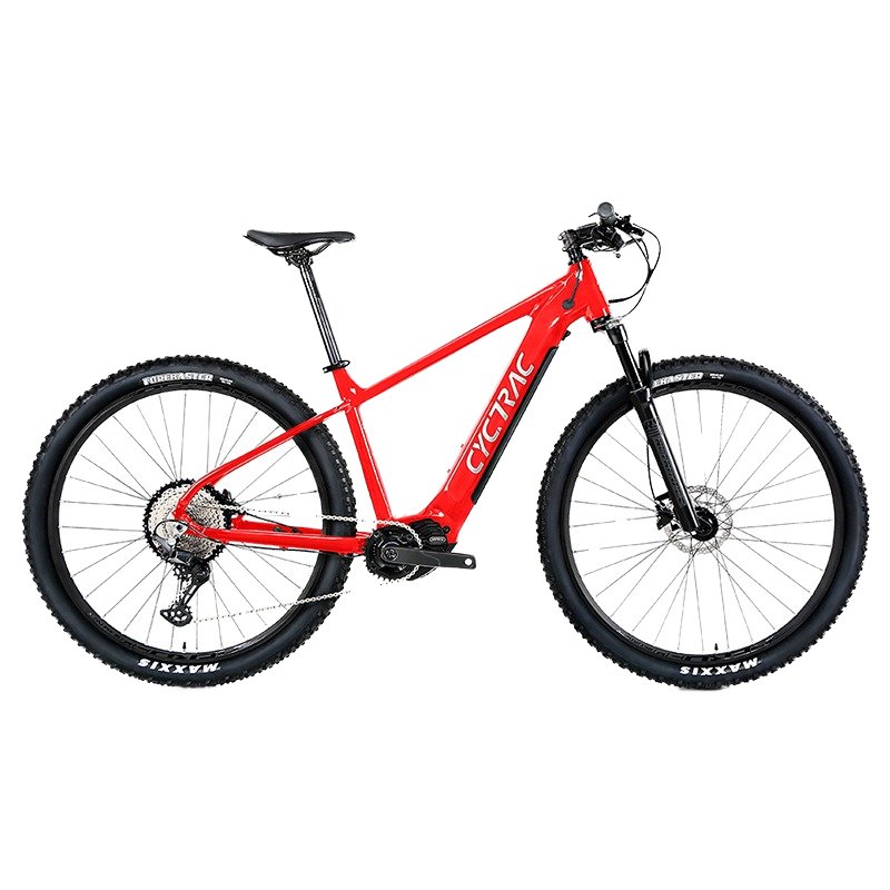 Bafang M510 250 Watt Electric Mountain Bike Lightweight 36/48 Volt 12 Speed Central Drive for Adults